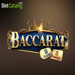 ব্যাকারেট C08 ac365